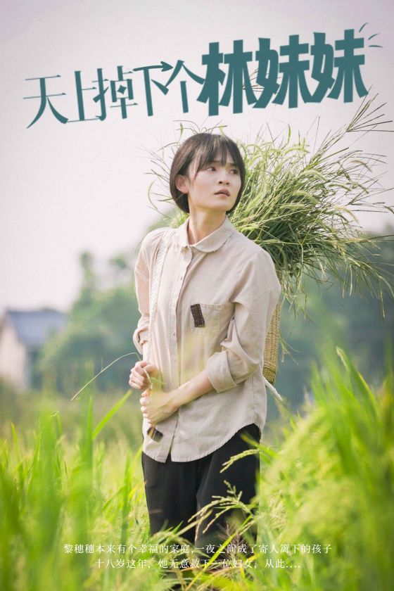 天上掉下个林妹妹}