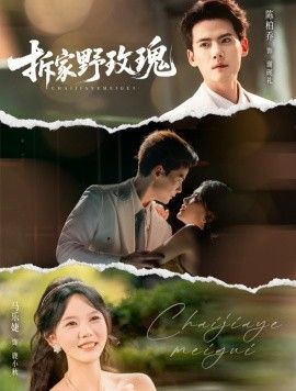 拆家野玫瑰}