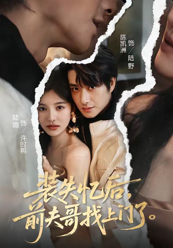 装失忆后，前夫哥找上门了}