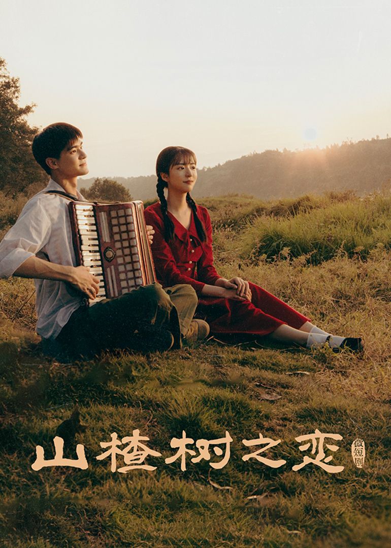 山楂树之恋}