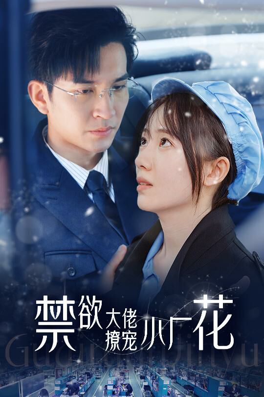 禁欲大佬撩宠小厂花（小可怜靠生子宠冠电子厂）}