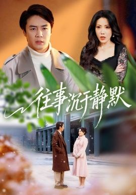 往事沉于静默}
