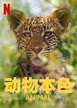 动物本色 第二季}