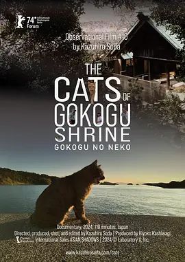 五香宫的猫}