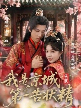 我是京城第一告状精