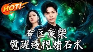 矿区废柴，觉醒透视赌石术}