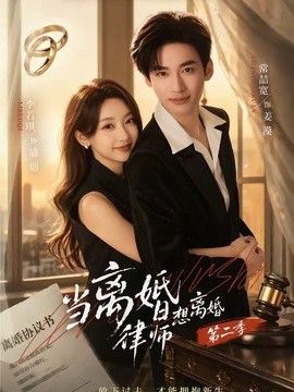 当离婚律师想离婚第二季}
