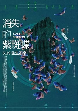 消失的紫斑蝶}