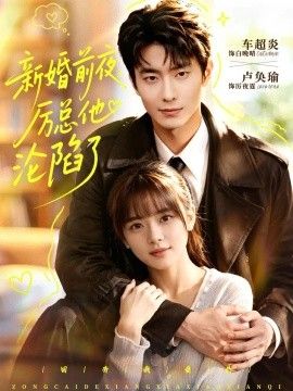 新婚前夜，厉总他沦陷了