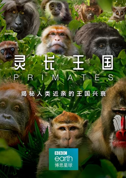 灵长王国}