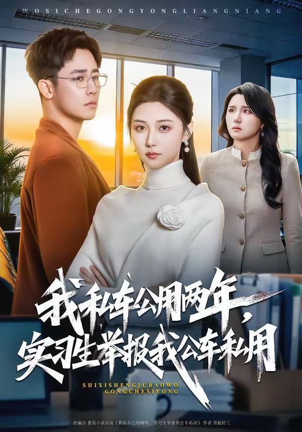 我私车公用两年，实习生举报我公车私用}