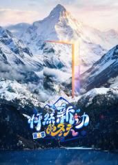 怦然新动的冬天第2季}