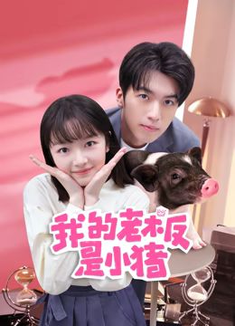 我的老板是小猪}