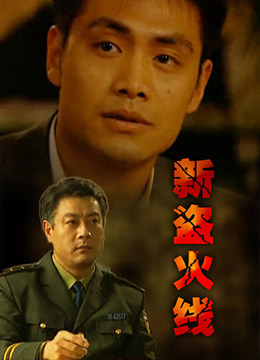 新盗火线}