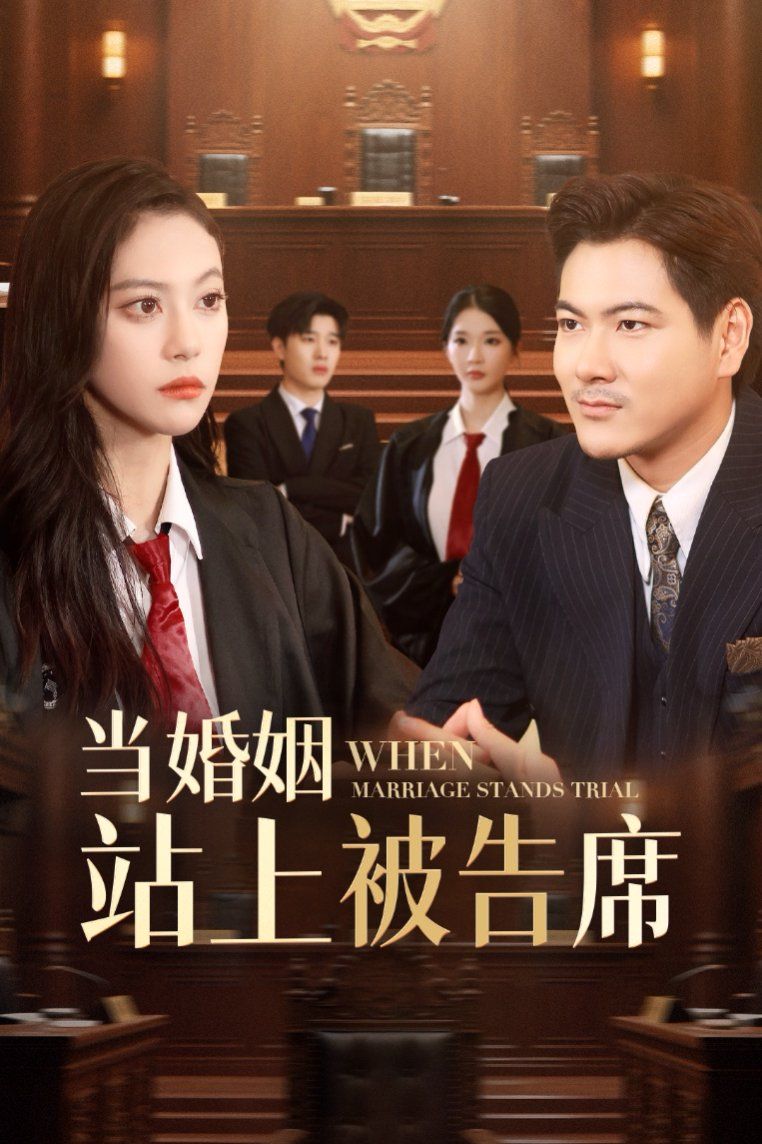 当婚姻站上被告席}