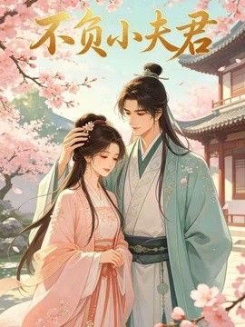 不负小夫君