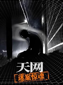 天网：迷案惊魂}