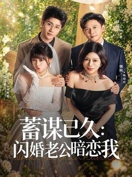 蓄谋已久：闪婚老公暗恋我（我带崽闪婚后怎么老妈也）}